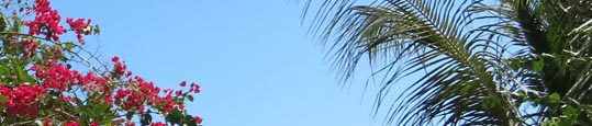 Zertifizierungsstelle für Umweltmanagementsysteme nach ISO 14001