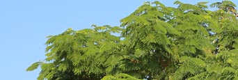 Zertifizierungsstelle für Umweltmanagementsysteme nach ISO 14001