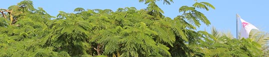 Zertifizierungsstelle für Umweltmanagementsysteme nach ISO 14001